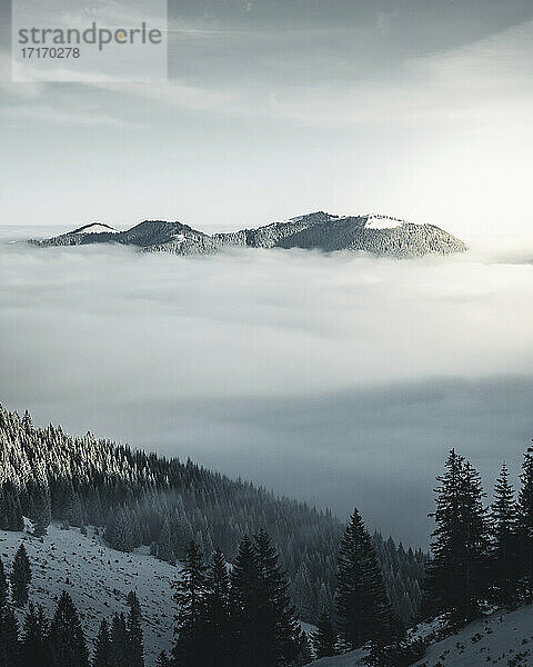 Deutschland  Bayern  Ammergauer Alpen  Teufelstattkopf  Berge am Wintertag