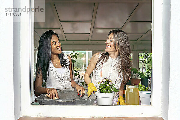 Smiling female friends looking at each other while planting flowers