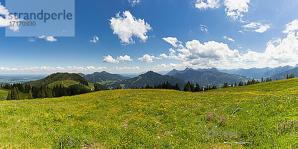Panorama of springtime meadow in Allgau Alps