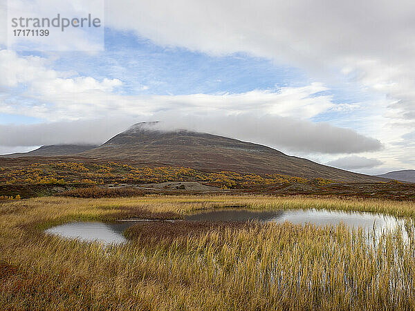 Marsh grass in pond against mountain covered in cloud at Jamtland  Sweden