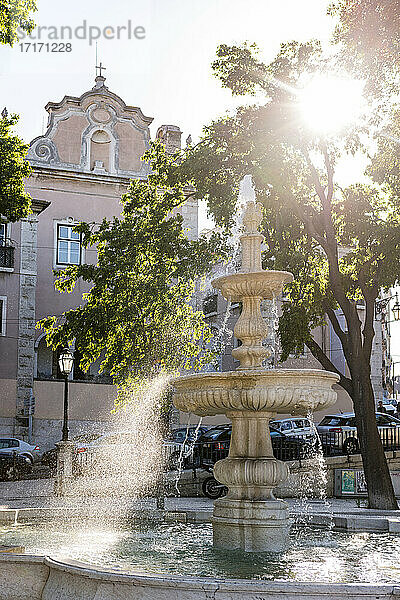 Portugal  Lissabon  Miradouro Sao Pedro Alcantara  Springbrunnen im Sonnenlicht