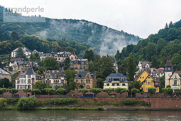 Germany  Baden-Wurttemberg  Heidelberg  Riverside houses in Neuenheim district