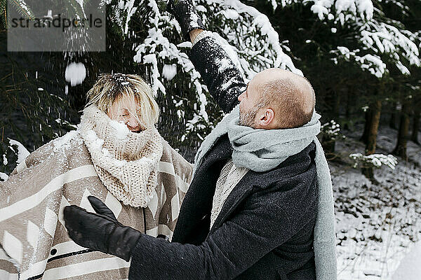 Älteres Paar mit warmer Kleidung  die Spaß im Schnee von Kiefern während der Ferien