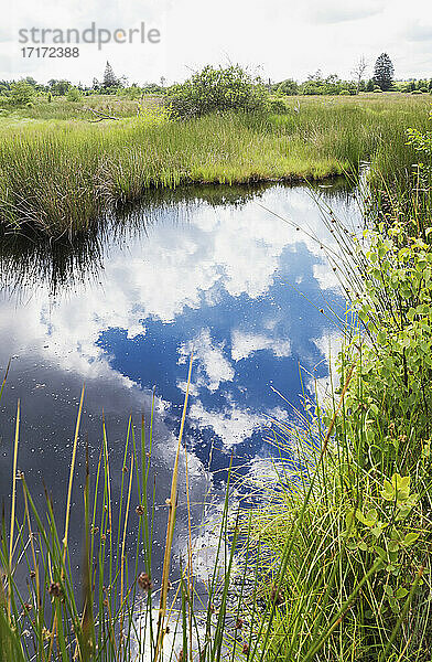 Reflection of clouds on water at High Fens Nature Park