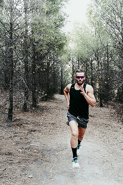 Gut aussehender männlicher Sportler  der auf einem Bergpfad im Wald läuft