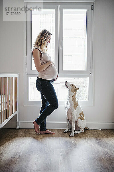 Schwangere Frau steht mit Hund am Fenster zu Hause
