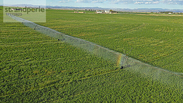 Luftaufnahme eines Feldes während der Bewässerung