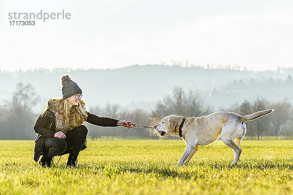 Playful dog pulling rope from woman's hand in nature