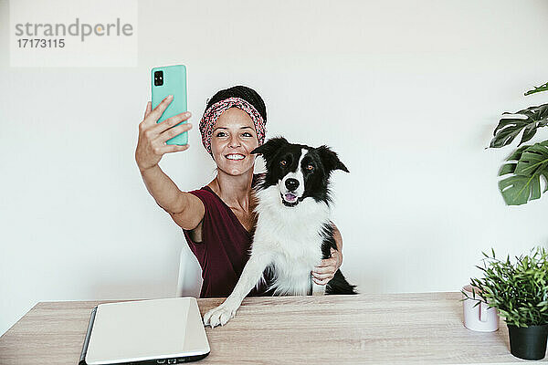 Unternehmerin  die ein Selfie mit ihrem Border Collie macht  während sie im Büro zu Hause an der weißen Wand sitzt