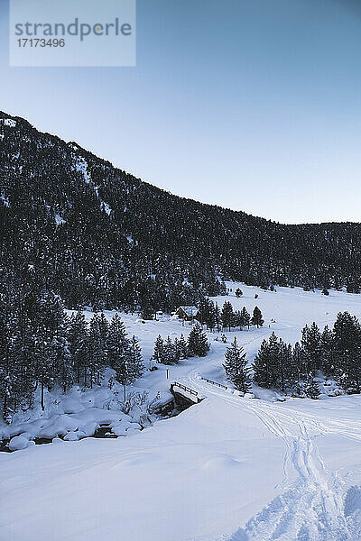 Trees on snowy mountain against sky