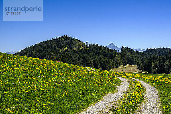 Beautiful pathway on mountain against clear sky