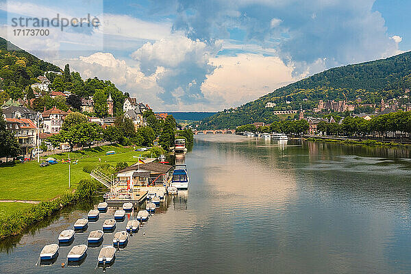 Germany  Baden-Wurttemberg  Heidelberg  Pedal boats moored in front of Neuenheim suburb houses with old town in background