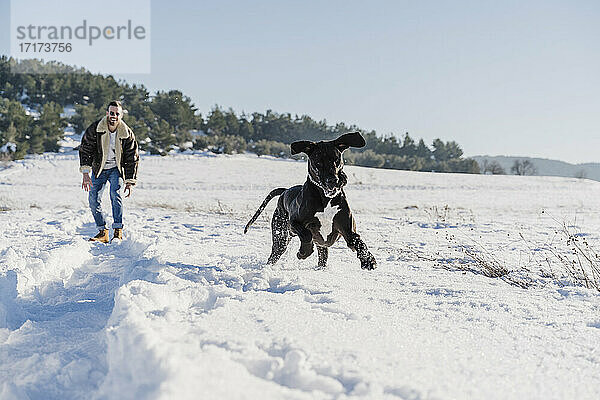 Verspielter Doggenhund  der mit seinem Besitzer im Schnee an einem sonnigen Tag Spaß hat