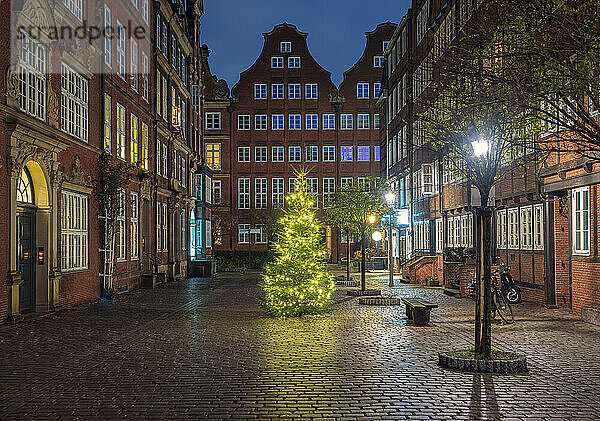 Deutschland  Hamburg  Komponistenviertel und Weihnachtsschmuck in der Stadtstraße