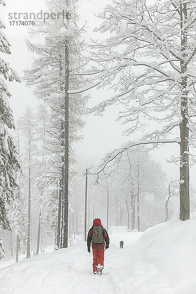 Mann mit Hund beim Spaziergang im tiefen Neuschnee im Wald
