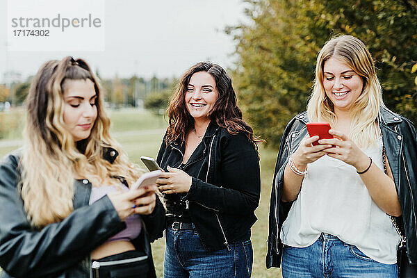 Drei junge Frauen benutzen ihre Telefone im Park