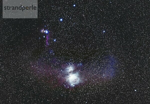 Sternbild Orion mit Orion- und Pferdekopfnebel  Deutschland  Europa