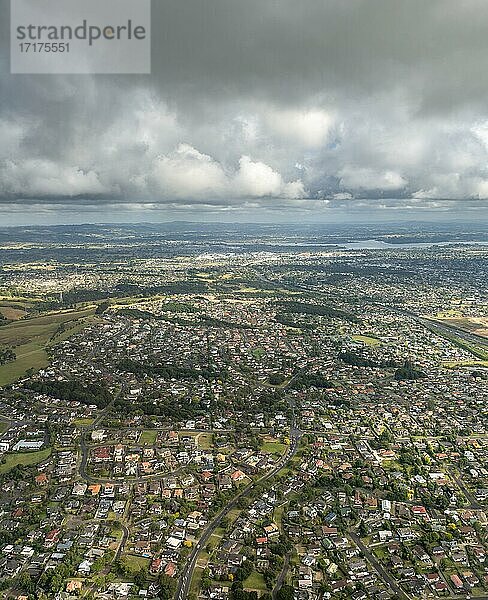 Luftaufnahme  Stadtansicht mit Einfamilienhäusern  Auckland  Nordinsel  Neuseeland  Ozeanien