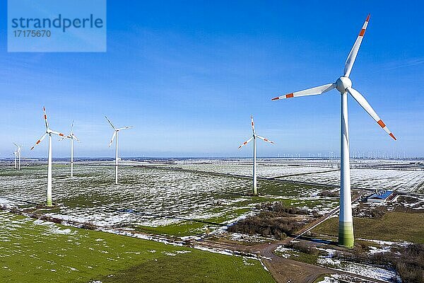 Windpark aus der Vogelperspektive  Egeln  Sachsen-Anhalt  Deutschland  Europa