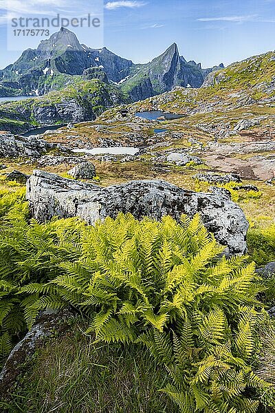 Berglandschaft  hinten Berg Hermannsdalstinden und Munkebu Hütte  See Krokvatnet und Tennesvatnet  Moskenesöy  Lofoten  Nordland  Norwegen  Europa