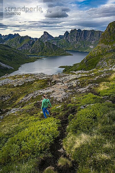Wanderin wandert durch Berglandschaft  Forsfjorden  Moskenesöy  Lofoten  Nordland  Norwegen  Europa
