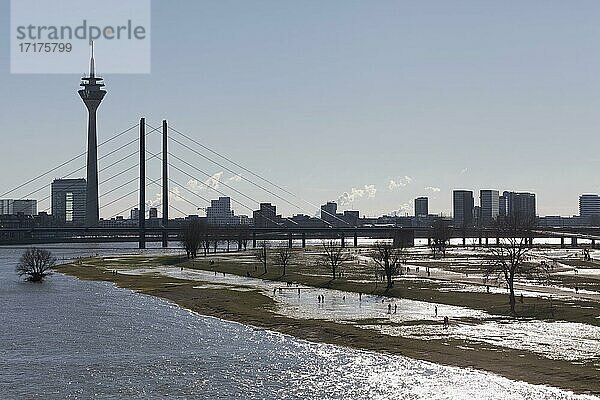 Stadtpanorama mit überschwemmten Rheinwiesen  Winter  Oberkasseler Brücke  Rheinturm  Düsseldorf  Nordrhein-Westfalen  Deutschland  Europa