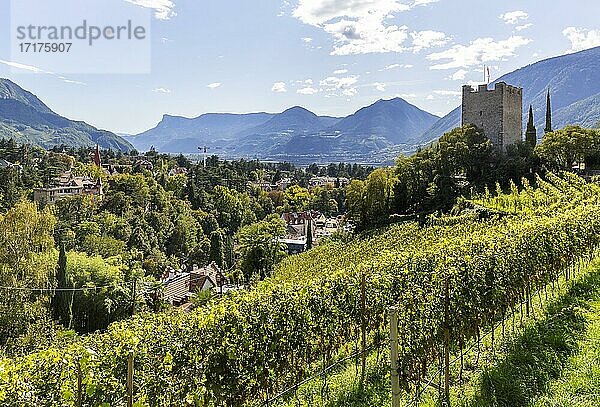 Ehemaliger Bergfried der Burg Ortenstein  Pulverturm  Weinberge  Meran  Vinschgau  Südtirol  Italien  Europa