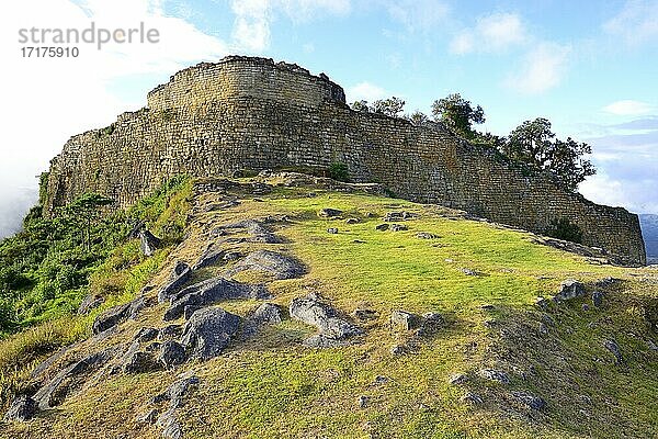 Festungsmauer der Ruinenstadt der Chachapoya Kultur  Kuelap  Provinz Luya  Region Amazonas  Peru  Südamerika