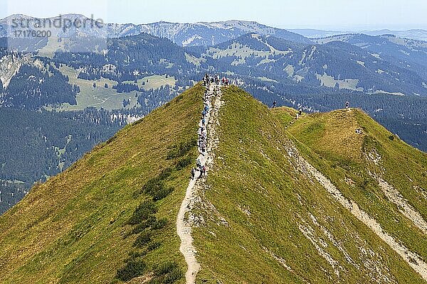 Wanderer auf dem Gratwanderweg Fellhorngrat zwischen Fellhorn-Gipfel und Söllerkopf  Fellhorn  Oberstdorf  Oberallgäu  Allgäuer Alpen  Allgäu  Bayern  Deutschland  Europa