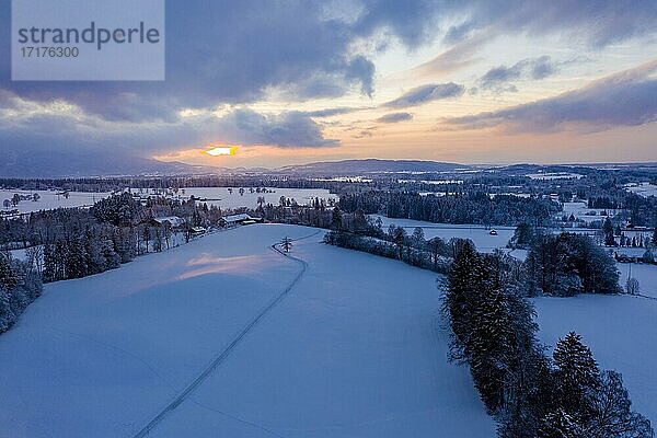 Sonnenuntergang im Winter  bei Baumberg  Bad Heilbrunn  Oberbayern  Bayern  Deutschland  Europa