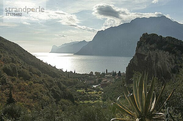 Ausblick auf Torbole durch das Tal Valle di Santa Lucia  Turbel  Gardasee  Provinz Trient  Trentino  Italien  Europa