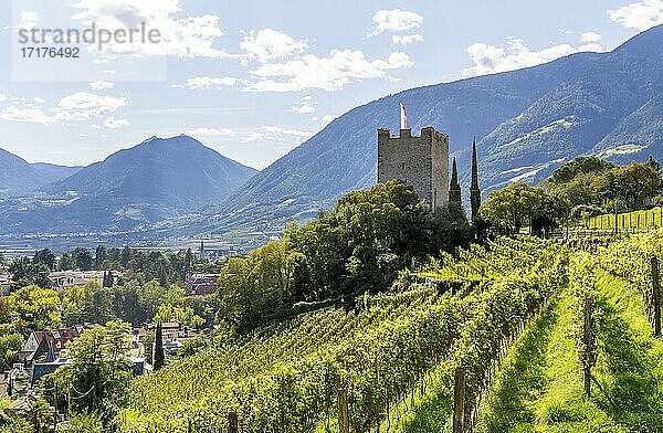 Ehemaliger Bergfried der Burg Ortenstein  Pulverturm  Weinberge  Meran  Vinschgau  Südtirol  Italien  Europa