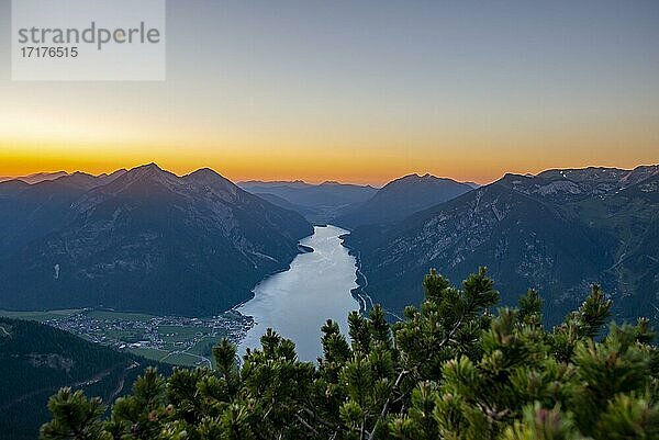 Berglandschaft mit Latschenkiefer bei Sonnenuntergang  Ausblick vom Gipfel des Bärenkopf auf den Achensee  links Seebergspitze und Seekarspitze  Tirol  Österreich  Europa