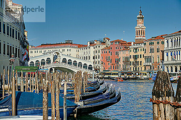 Rialtobrücke vom Boot aus mit Gondeln im Vordergrund  Venedig  Venetien  Italien |Rialto Bridge seen from boat with gondulas in front  Venice  Veneto  Italy|