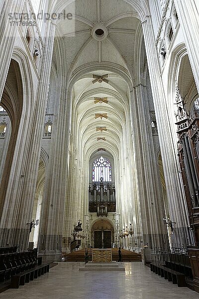Kirchenschiff mit Altarraum  Kathedrale Saint-Pierre-et-Saint-Paul  Nantes  Pays de la Loire  Frankreich  Europa