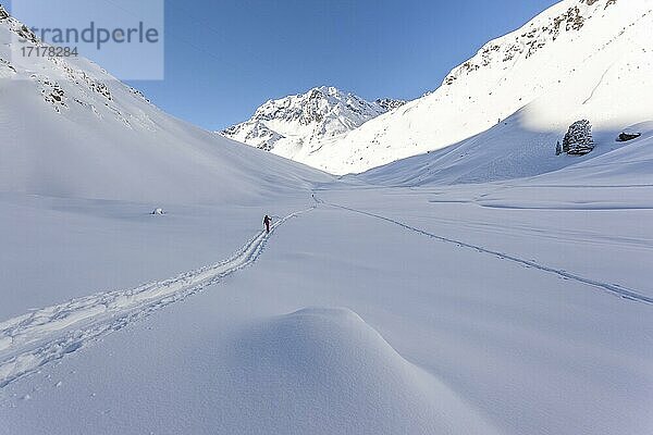 Einsame Skitourengeherin  Tourengebiet Westfalenhaus  Sellrain  Tirol  Österreich  Europa