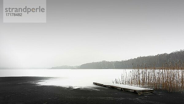 Ein Steg im Sternhagener See in Brandenbrug im Winter  Brandenburg  Deutschland  Europa