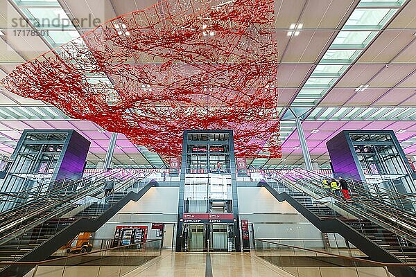 Neuer Flughafen Berlin Brandenburg BER Willy Brandt Airport Terminal 1  Berlin  Deutschland  Europa