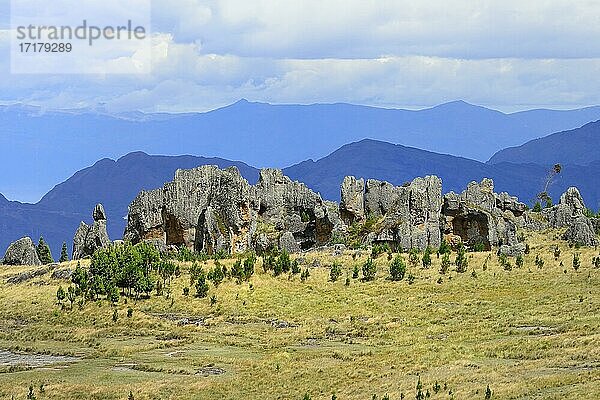 Felsformationen im Steinernen Wald  Cumbe Mayo  Provinz Cajamarca  Peru  Südamerika