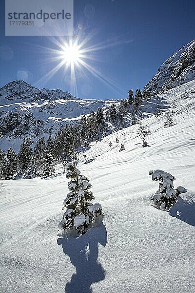 Winterlandschaft mit Sonnenstern und Pulverschnee  Tirol  Österreich  Europa