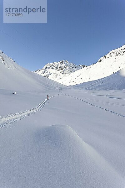 Einsame Skitourengeherin  Tourengebiet Westfalenhaus  Sellrain  Tirol  Österreich  Europa