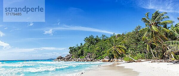 Anse Georgette Strand Urlaub Insel Praslin Palme Panorama Meer  Praslin  Seychellen  Afrika