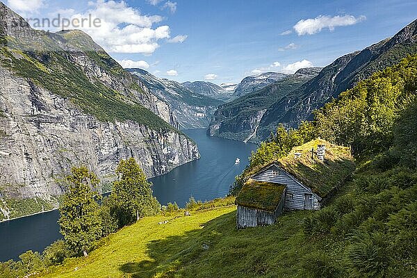 Blomberg Gård  historischer Bergbauernhof an steilem Berghang  Geirangerfjord  bei Geiranger  Møre og Romsdal  Norwegen  Europa