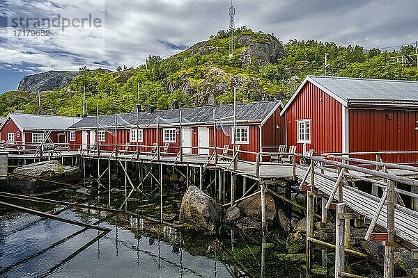 Hafen  Rorbuer Hütten  historischer Fischerort Nusfjord  Lofoten  Nordland  Norwegen  Europa