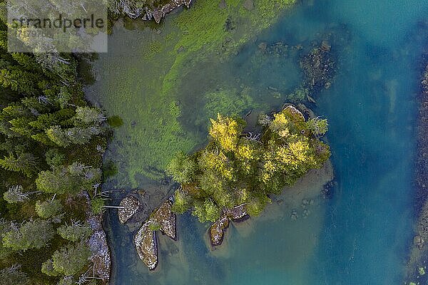 Luftaufnahme  kleine Insel von Oben  Abendstimmung am See Hafslovatnet  Hafslo  Vestland  Norwegen  Europa