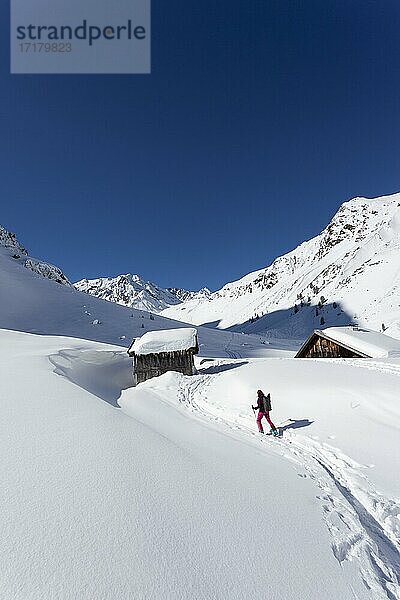 Einsame Skitourengeherin  Tourengebiet Westfalenhaus  Sellrain  Tirol  Österreich  Europa