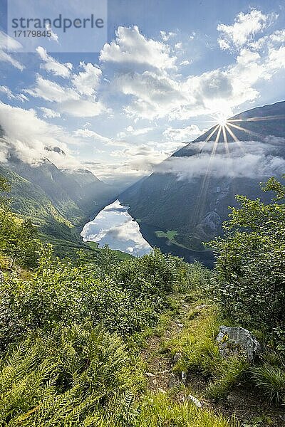 Blick vom Wanderweg Rimstig  Rimstigen  Sonne scheint auf Berge und Fjord  Nærøyfjord  Aurland  Norwegen  Europa