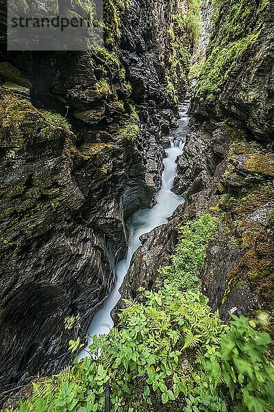 Gebirgsbach fließt durch enge Bordalsgjelet Schlucht  Voss  Vestland  Norwegen  Europa