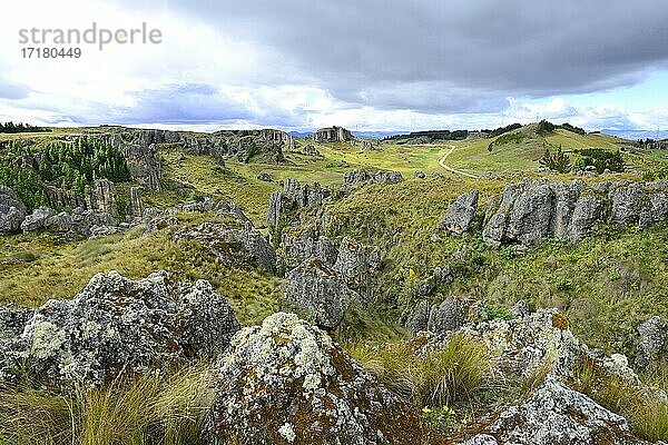 Felsformationen im Steinernen Wald  Cumbe Mayo  Provinz Cajamarca  Peru  Südamerika