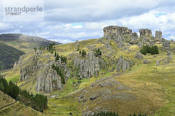 Felsformationen im Steinernen Wald  Cumbe Mayo  Provinz Cajamarca  Peru  Südamerika